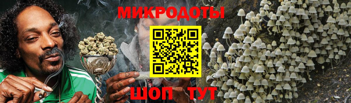 Псилоцибиновые грибы MAGIC MUSHROOMS  Вход с VPN  Углич 